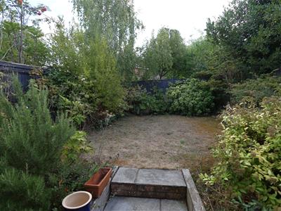 Picture 16